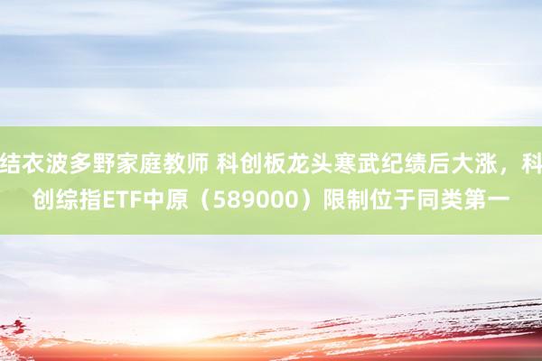 结衣波多野家庭教师 科创板龙头寒武纪绩后大涨，科创综指ETF中原（589000）限制位于同类第一