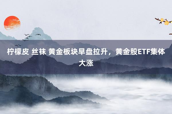 柠檬皮 丝袜 黄金板块早盘拉升，黄金股ETF集体大涨