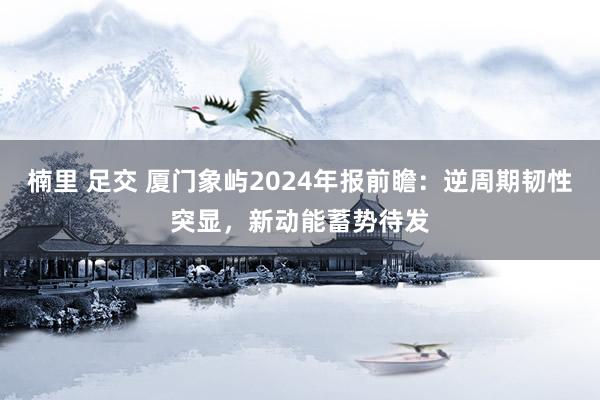 楠里 足交 厦门象屿2024年报前瞻：逆周期韧性突显，新动能蓄势待发