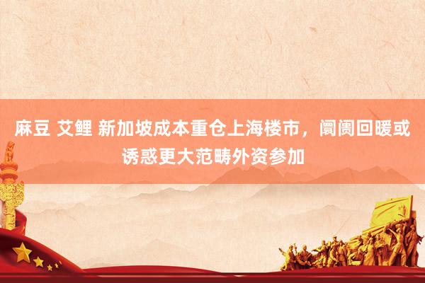 麻豆 艾鲤 新加坡成本重仓上海楼市，阛阓回暖或诱惑更大范畴外资参加
