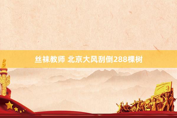 丝袜教师 北京大风刮倒288棵树