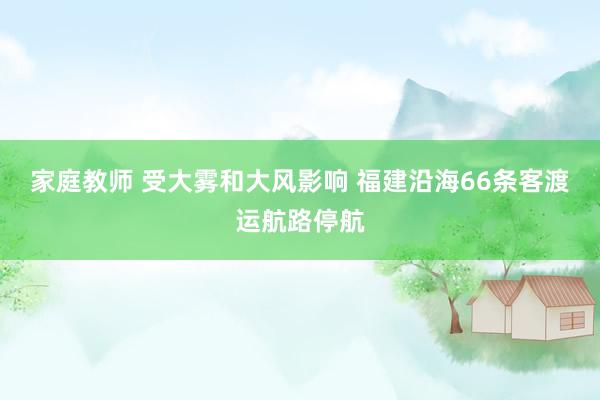 家庭教师 受大雾和大风影响 福建沿海66条客渡运航路停航