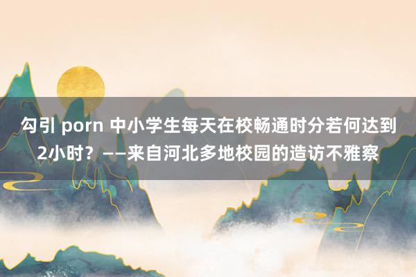 勾引 porn 中小学生每天在校畅通时分若何达到2小时？——来自河北多地校园的造访不雅察