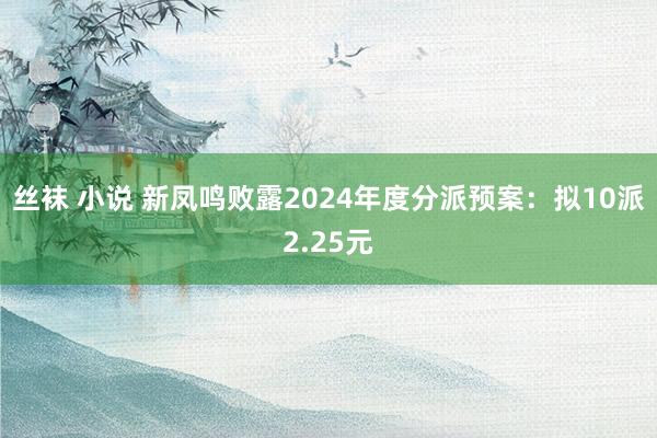 丝袜 小说 新凤鸣败露2024年度分派预案：拟10派2.25元