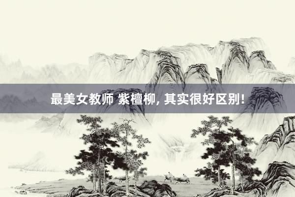 最美女教师 紫檀柳， 其实很好区别!