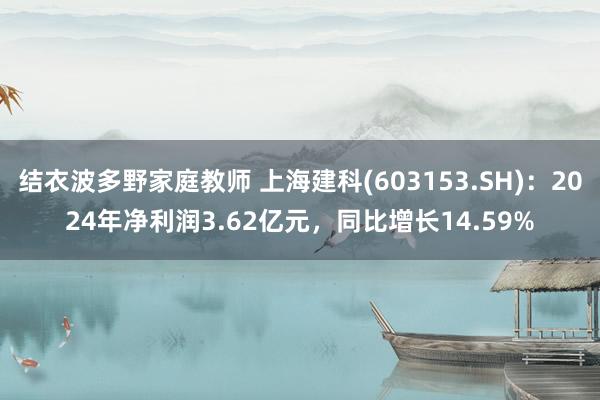 结衣波多野家庭教师 上海建科(603153.SH)：2024年净利润3.62亿元，同比增长14.59%